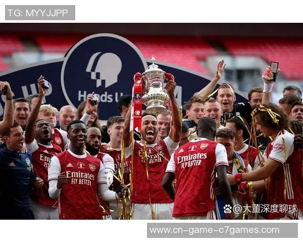 阿森纳与纽卡斯尔精彩对决在线直播全程回顾与分析